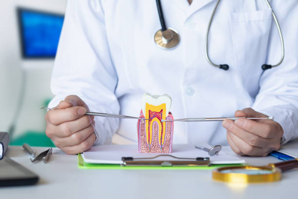 Best Emergency Wisdom Teeth Removal in Morton, WA